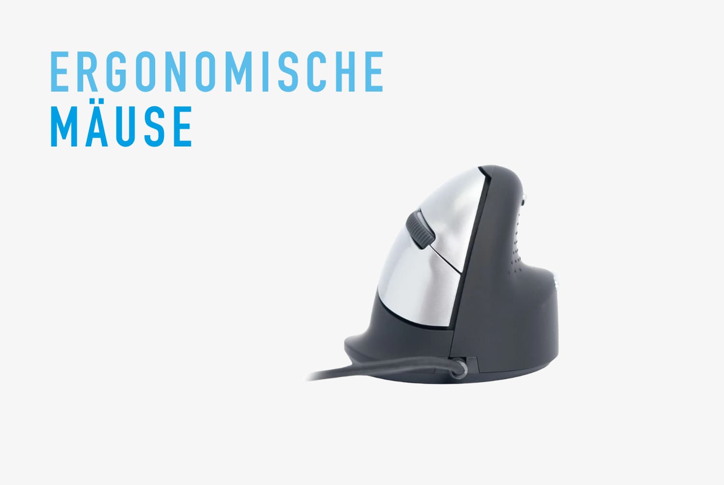 Bild von einer Ergonomischen Maus