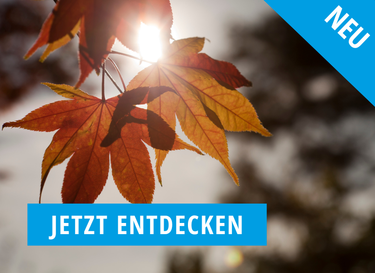 Herbstblätter im Sonnenlicht mit Hinweis „Neu“ – jetzt das aktuelle Herbstsortiment entdecken