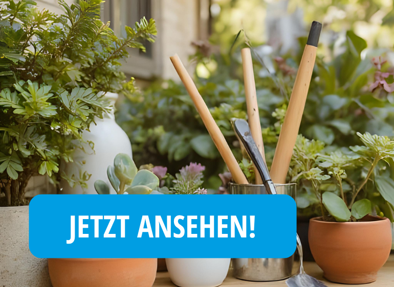 Terasse mit Töpfen und Blumen sowie Werkzeug in einem Topf